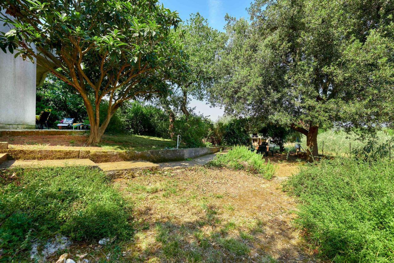 Apartments Davorka Banjole Dış mekan fotoğraf