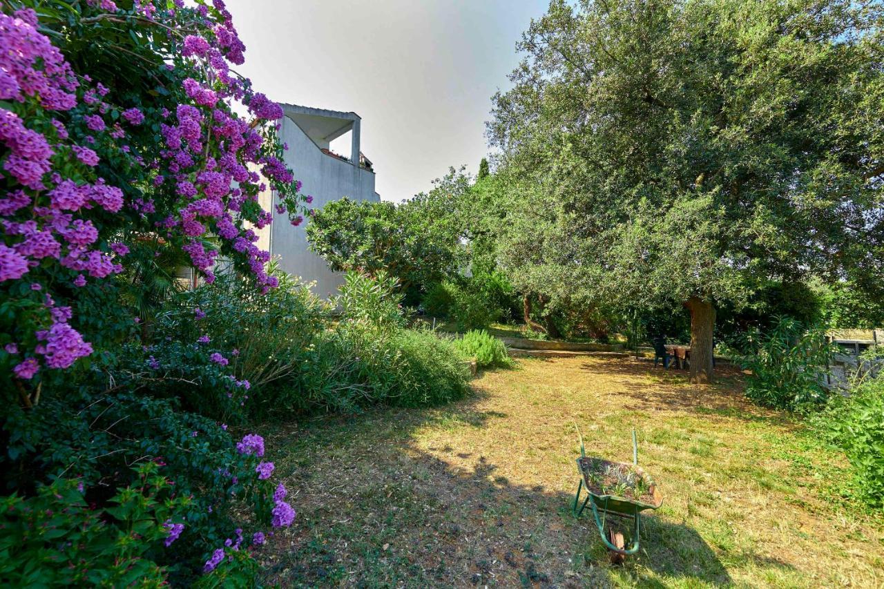 Apartments Davorka Banjole Dış mekan fotoğraf